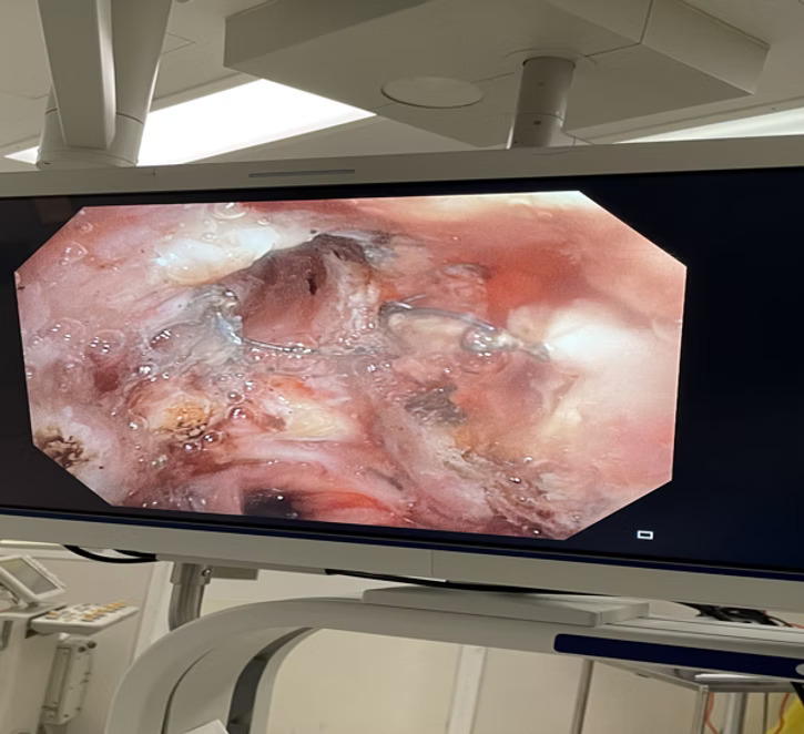 images description